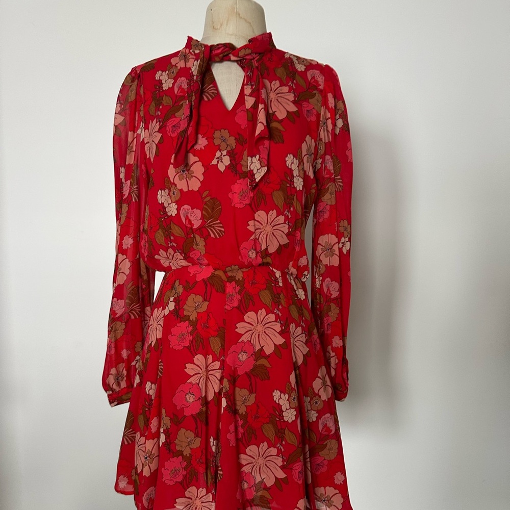 Zara Red Floral Long Sleeve Dress